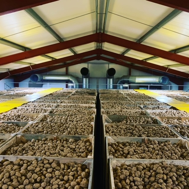 Poortvliet Farms' new potato storage unit