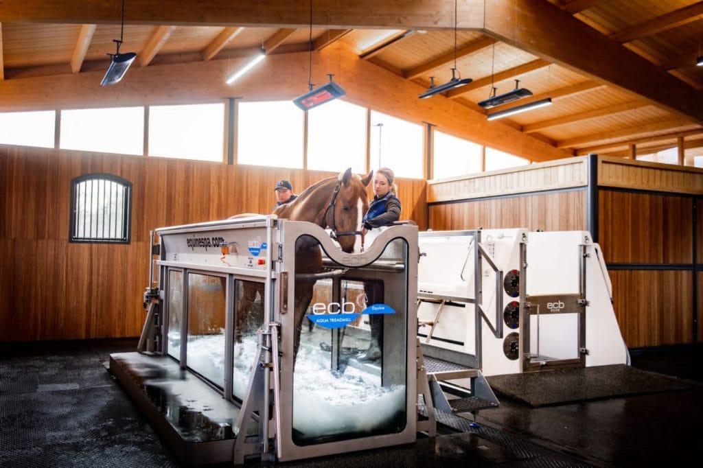 A horse using a hydrotherapy spa