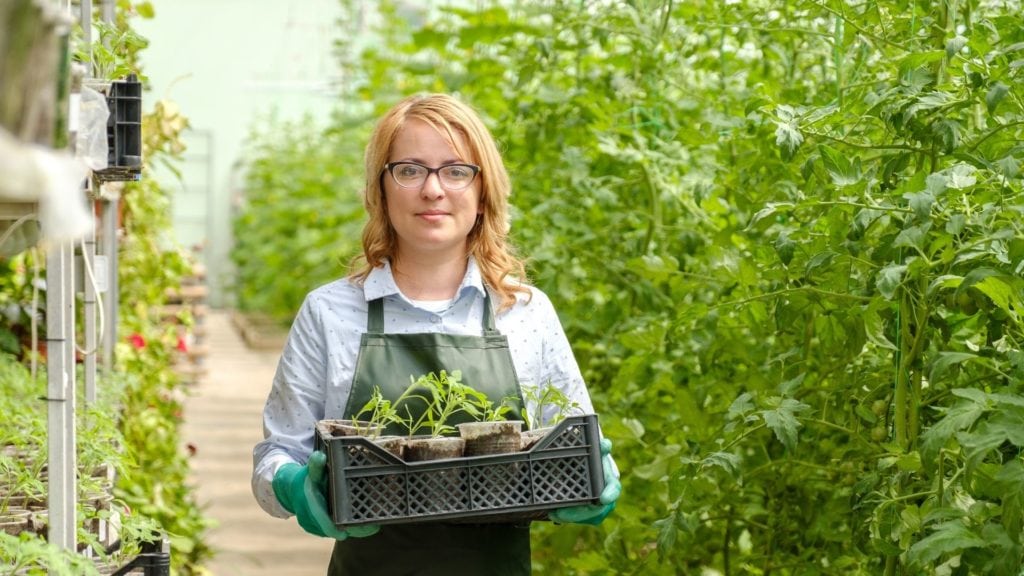 Woman working in large greenhouse